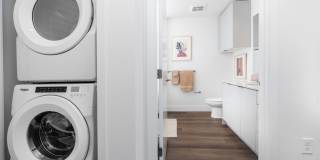 Alexan Main Street Gallery 48