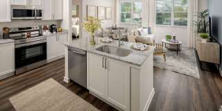 Cielo View Gallery 19