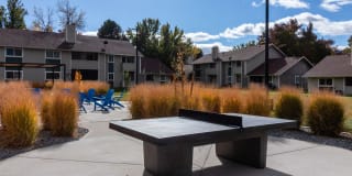 The Verge Gallery 13