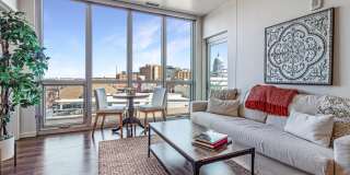 Ovation 309 Ovation 309 Gallery 1