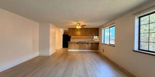 Olive Trees Apartments Gallery 21