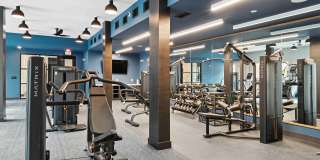 Cadia Millennium Gallery 26