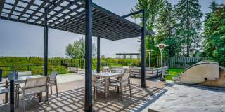 The Shores of Lake St. Clair Gallery 16