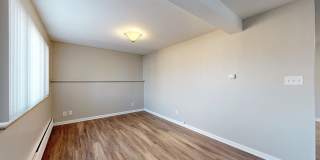 South Majestic Gallery 42