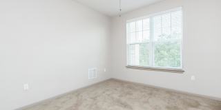 RIZE at Winter Springs Gallery 91