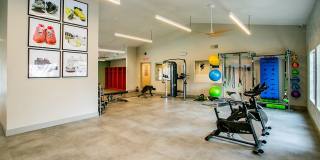 Bloom Apartment Homes Gallery 70