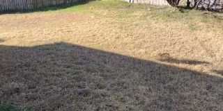 213 Blanket Drive Gallery 13