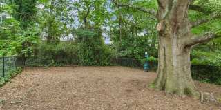 Grande Oaks Gallery 20