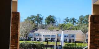 6694 ARCHING BRANCH Circle Gallery 10