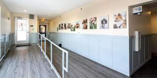 9 on Canal Gallery 18