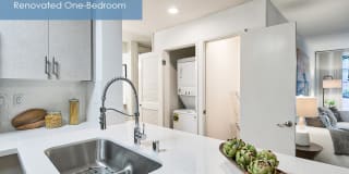 The Meadows - Newly Renovated Gallery 5