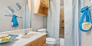 Bear Crossing Gallery 9