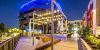 Windsor at Dogpatch Gallery 5