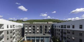 Cadence Apartments Gallery 2