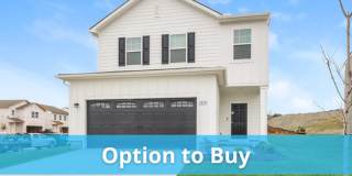 1074 Large Poppy Drive Gallery 1