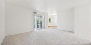 Crestbrook Gallery 18