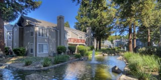 Wood Creek Gallery 8