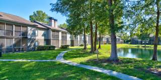 TimberLake Gallery 24