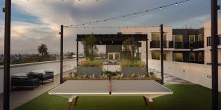 Coro Gallery 21