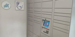 Meadow Lakes Gallery 36