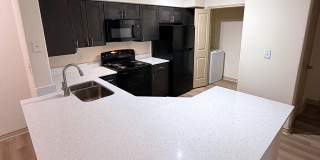 TGM Odenton Gallery 33