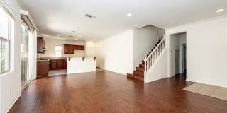 165 Pathway Gallery 4