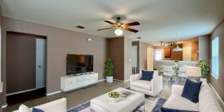 6611 Cougar Village Gallery 2