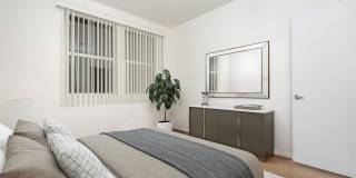 Vineyards Gallery 176