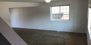 Pet Friendly 3 Bedroom 2 Bathroom Duplex Gallery 10