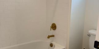 Stunning LIKE NEW 4 Bedroom in Wolf Ranch Gallery 32