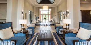 The Aster Gallery 3