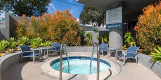 The Encore Gallery 29