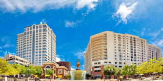 The Cosmopolitan Apartments Gallery 3