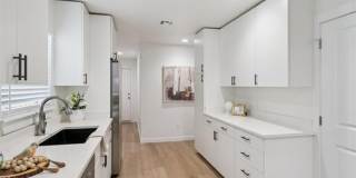 Gorgeous updated and modern open layout Gallery 13