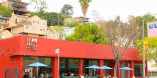 The Dillon Silver Lake II Gallery 28
