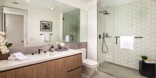 The Alfred The Alfred Gallery 20