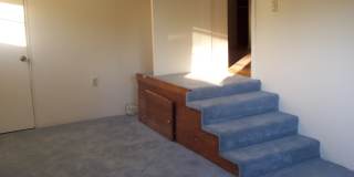 Ector 1822 Gallery 4