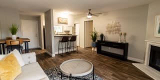 The Verge Gallery 16