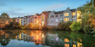 Advenir at Adams Farm Gallery 18