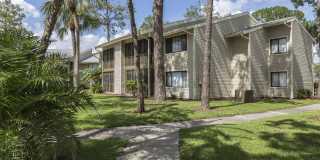 Enclave at Lake Ellenor Gallery 40