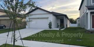 35552 Shade Fern La Gallery 1