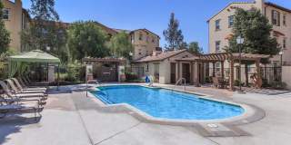 Paseos At Magnolia Luxury Apartment Homes Gallery 37