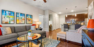 Bridge at Southpark Meadows Gallery 33