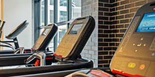 Aster & Links Gallery 38