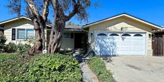 $5295 - Beautiful 4 Bed/2 Ba Cambrian Park Home Available Now! Gallery 1