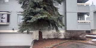 Brand New Update: 2 Bed/2 Bath UMED Condo! Gallery 1