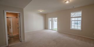 5004 FOREST PINES Drive Gallery 32