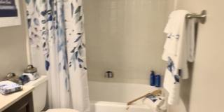 8190 Philippe Landing Gallery 12