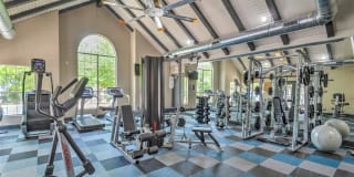 Logans Mill Gallery 5