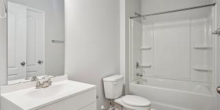 Poplin Trace Gallery 24